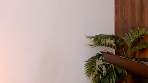 my name real is camilo online show from December 28, 2024, 7:11 am