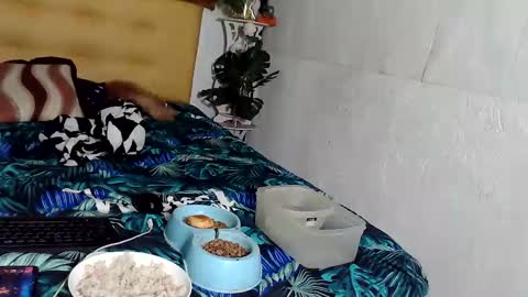 asianladyboy888 online show from November 24, 2025, 4:07 pm