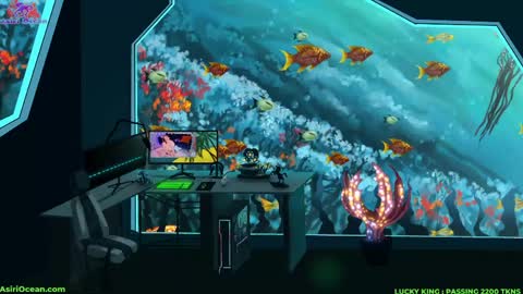 Asiri   pronounced Ah-siri Please no nicknames   3 online show from March 31, 2026, 2:17 pm