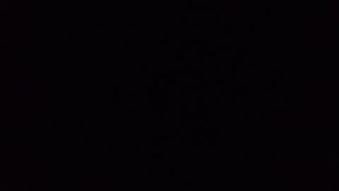 assfdanchen online show from September 24, 2025, 11:08 pm