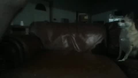 Tell me spread and Ill spread online show from June 2, 2026, 4:03 am