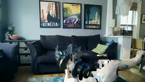 Snapshot of assmaster_6100 chatting on February 11, 2025, 8:52 pm assmaster_6100 online show from February 11, 2025, 8:52 pm