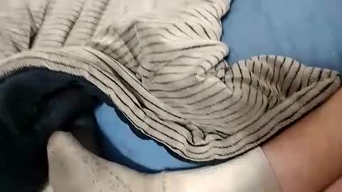 Snapshot of ausername1234517600 chatting on October 14, 2025, 4:24 am Lex online show from October 14, 2025, 4:24 am