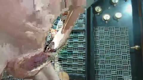 aussieraz online show from December 16, 2024, 7:00 pm