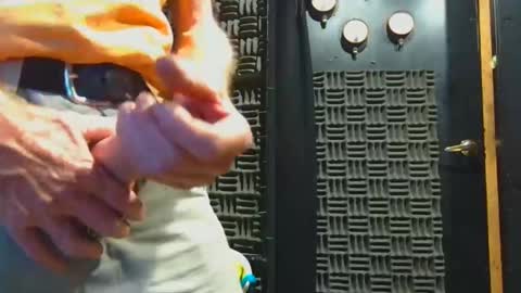 aussieraz online show from November 4, 2025, 8:02 am