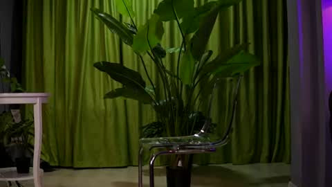 Ava online show from August 2, 2026, 7:23 pm