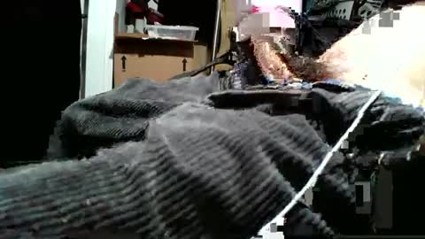 averagecharles757569 online show from October 9, 2025, 5:27 am