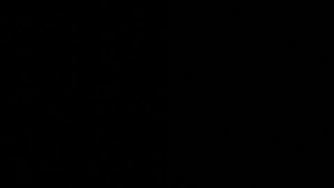 Axell Cross2 online show from November 4, 2025, 9:52 am