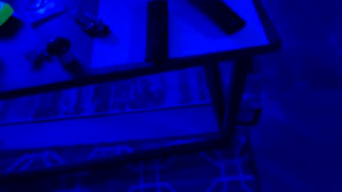 Snapshot of ayla_ty chatting on September 28, 2025, 6:30 am AylaTy online show from September 28, 2025, 6:30 am