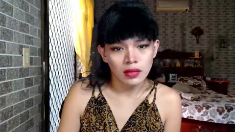 aymkyline online show from November 27, 2025, 12:35 am