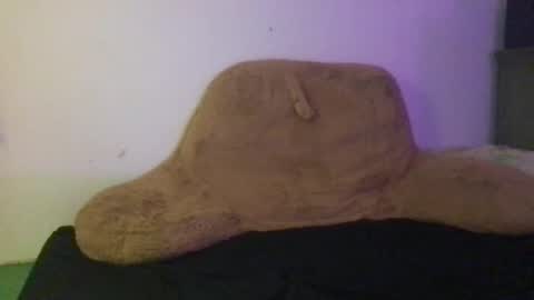 Snapshot of ayyo222 chatting on December 24, 2024, 10:06 pm ayyo222 online show from December 24, 2024, 10:06 pm