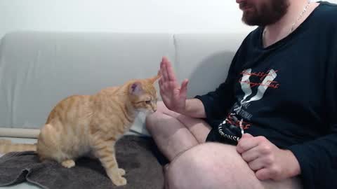 Snapshot of azer912 chatting on November 28, 2025, 10:56 pm Azer online show from November 28, 2025, 10:56 pm