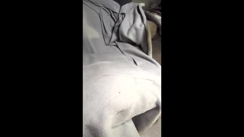 b4db0y online show from March 7, 2026, 12:07 am