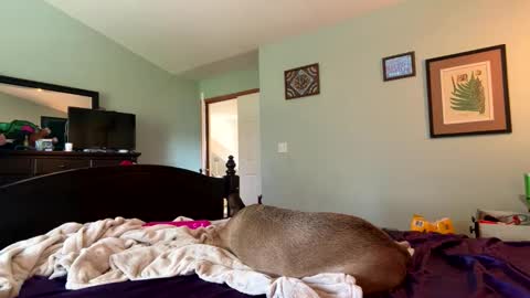 Snapshot of baby_bluu chatting on April 4, 2026, 9:45 pm blue online show from April 4, 2026, 9:45 pm