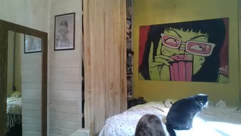 babydemon6 online show from May 24, 2026, 1:38 pm