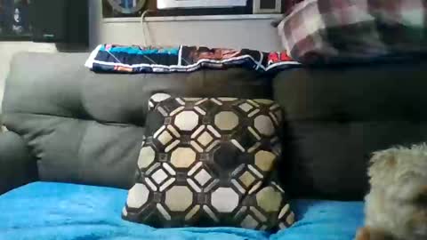 badcady0 online show from September 30, 2025, 3:22 am