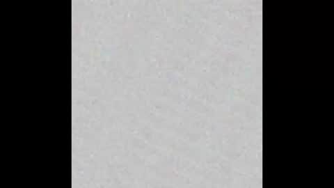 baddaddy77 online show from February 12, 2025, 12:01 pm