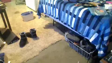 StillPoPimpin online show from December 27, 2024, 4:36 am