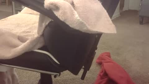 b online show from March 18, 2026, 12:47 am