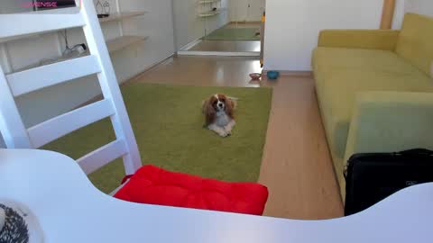 Kira online show from March 20, 2026, 12:21 pm