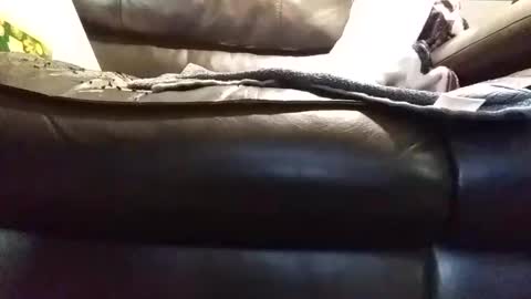 Snapshot of baobabtree8 chatting on January 9, 2025, 1:45 pm baobabtree8 online show from January 9, 2025, 1:45 pm