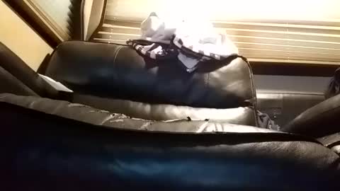 Snapshot of baobabtree8 chatting on January 14, 2025, 1:06 pm baobabtree8 online show from January 14, 2025, 1:06 pm