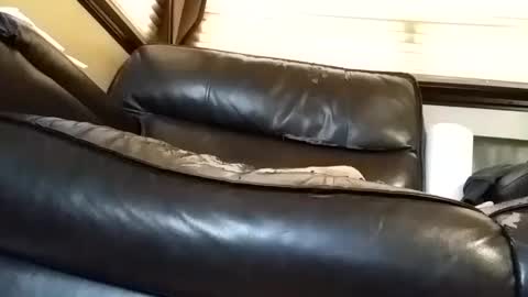 Snapshot of baobabtree8 chatting on March 6, 2025, 2:29 pm baobabtree8 online show from March 6, 2025, 2:29 pm