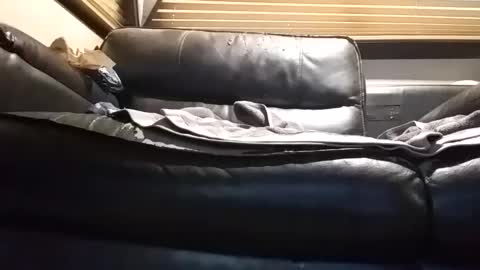 Snapshot of baobabtree8 chatting on September 26, 2025, 12:53 pm baobabtree8 online show from September 26, 2025, 12:53 pm