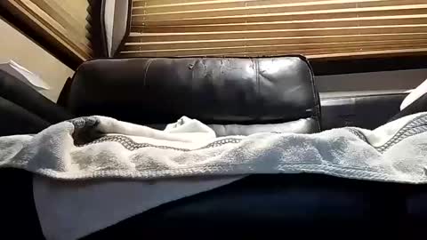 Snapshot of baobabtree8 chatting on October 4, 2025, 12:14 pm baobabtree8 online show from October 4, 2025, 12:14 pm