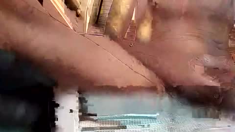 Snapshot of baobabtree8 chatting on October 15, 2025, 2:17 pm baobabtree8 online show from October 15, 2025, 2:17 pm