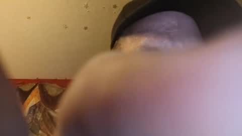 Snapshot of barniemay1 chatting on June 28, 2026, 12:33 pm barniemay1 online show from June 28, 2026, 12:33 pm