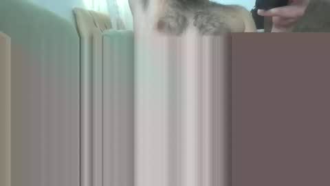 bathoneacock online show from March 2, 2025, 8:16 am