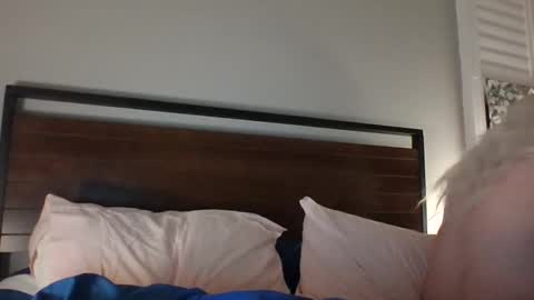 Snapshot of bawblejam chatting on December 14, 2024, 11:29 am BjBambi online show from December 14, 2024, 11:29 am