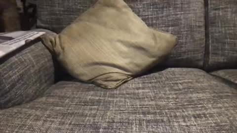 baykiwi54 online show from December 17, 2024, 8:45 am