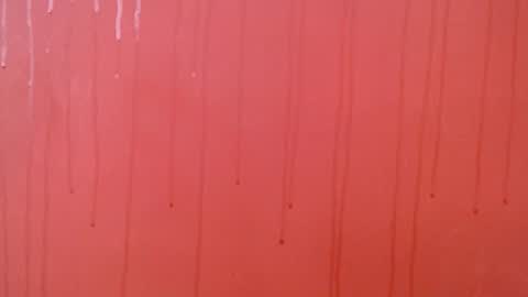 bayonette_black online show from November 23, 2025, 7:02 pm