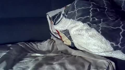 bbc_highness online show from March 29, 2026, 8:14 am