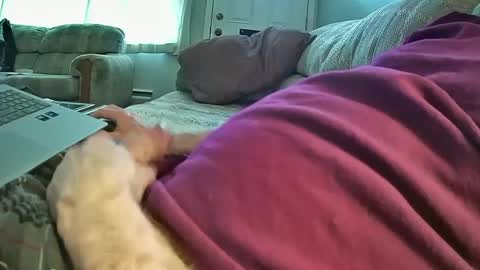 Snapshot of bcema2 chatting on January 8, 2025, 9:44 pm bcema2 online show from January 8, 2025, 9:44 pm