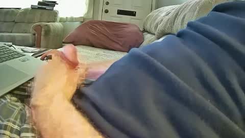 Snapshot of bcema2 chatting on October 8, 2025, 6:49 pm bcema2 online show from October 8, 2025, 6:49 pm