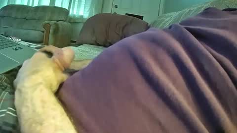 Snapshot of bcema2 chatting on October 24, 2025, 3:30 pm bcema2 online show from October 24, 2025, 3:30 pm