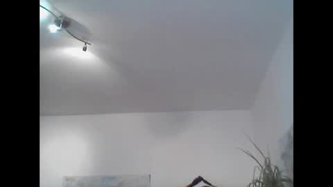 bear14250949 online show from November 2, 2025, 11:45 am