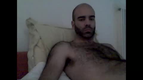 bear14250949 online show from November 16, 2025, 11:38 am