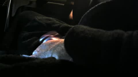 Snapshot of bear4146 chatting on December 8, 2024, 3:24 pm bear4146 online show from December 8, 2024, 3:24 pm