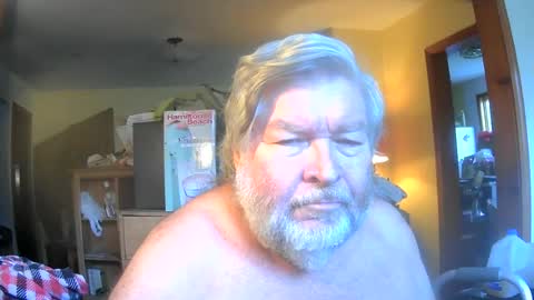 bear online show from June 13, 2026, 10:24 am