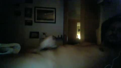 bearboudior online show from February 16, 2025, 1:58 am