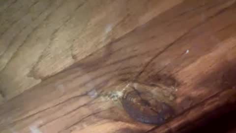 Snapshot of beautifukk chatting on January 14, 2026, 7:52 pm beautifukk online show from January 14, 2026, 7:52 pm