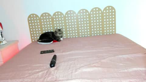 Beautyraf online show from December 18, 2025, 10:49 pm