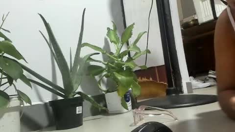 Snapshot of bebesitadiaz chatting on April 11, 2026, 2:27 am bebesita online show from April 11, 2026, 2:27 am