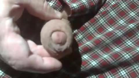  Reservoir Dogs online show from December 28, 2024, 12:15 am