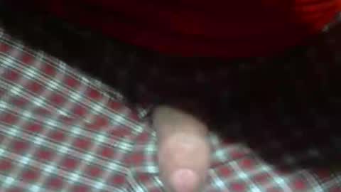  Reservoir Dogs online show from February 5, 2026, 12:48 am