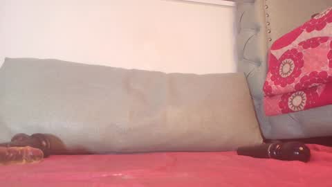 Snapshot of begoniia_ chatting on December 28, 2024, 9:31 am Begonia online show from December 28, 2024, 9:31 am